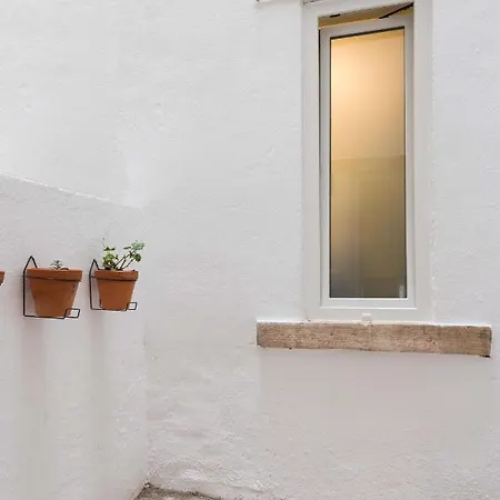 Gorgeous Refurbished Graca Lisbon