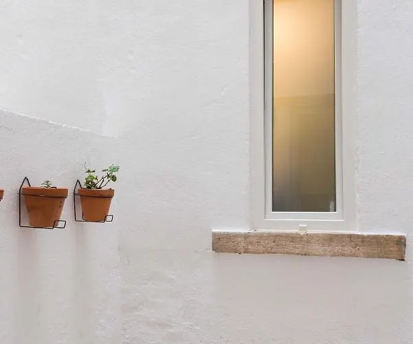 Gorgeous Refurbished Graca 리스본